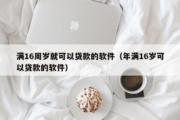 满16周岁就可以贷款的软件(年满16岁可以贷款的软件)